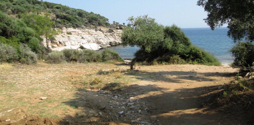 6320m² Land in Thasos, Greece No. 60131