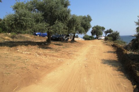 6320m² Land en Thasos, Greece No. 60131 3