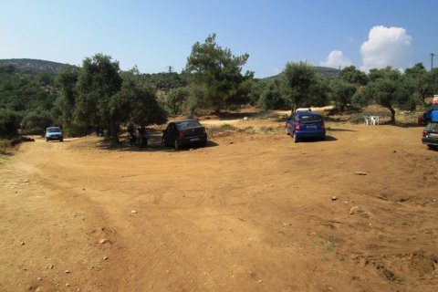 6320m² Land à Thasos, Greece No. 60131 6