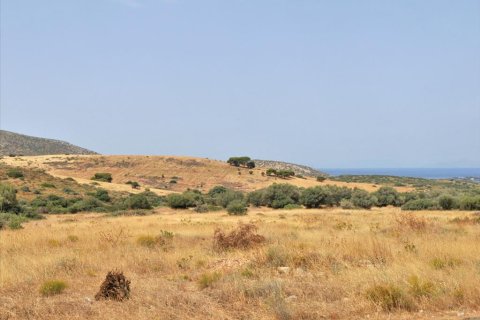 23688m² Land in Kalyvia Thorikou, Greece No. 60139 2