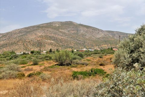 23688m² Land en Kalyvia Thorikou, Greece No. 60139 3