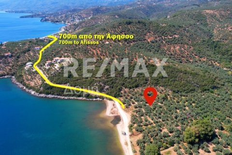 9613m² Land in Magnesia, Greece No. 28023 8