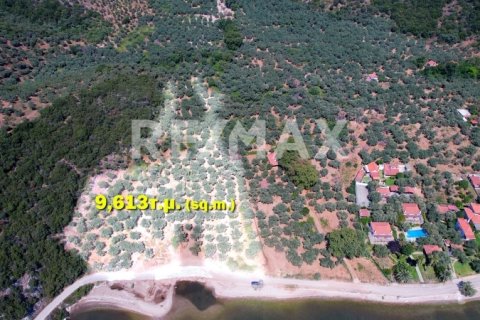 9613m² Land in Magnesia, Greece No. 28023 5