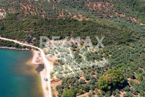 9613m² Land in Magnesia, Greece No. 28023 3