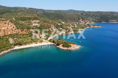 9613m² Land in Magnesia, Greece No. 28023 11