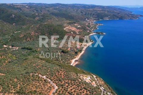 9613m² Land in Magnesia, Greece No. 28023 10