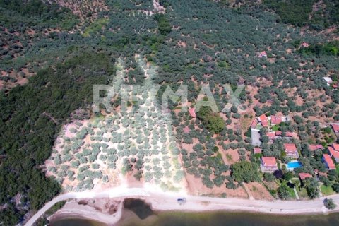 9613m² Land in Magnesia, Greece No. 28023 4