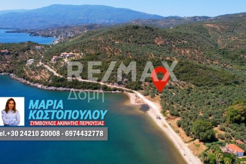 9613m² Land in Magnesia, Greece No. 28023 1