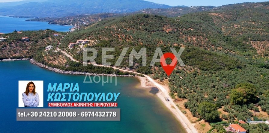 9613m² Land in Magnesia, Greece No. 28023