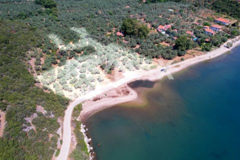 9613m² Land in Magnesia, Greece No. 28023 7