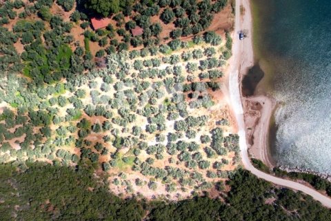 9613m² Land in Magnesia, Greece No. 28023 6