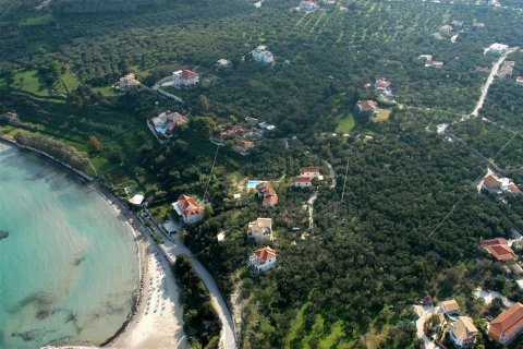 Land en Zakynthos, Greece No. 28137 20