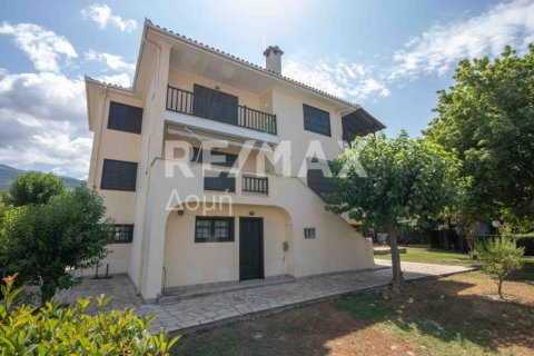 4 dormitorios Maisonette en Magnesia, Greece No. 28022 14