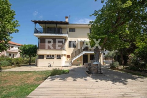 4 dormitorios Maisonette en Magnesia, Greece No. 28022 10