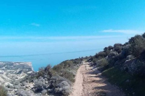 18730m² Land in Pissouri, Cyprus No. 42067 3