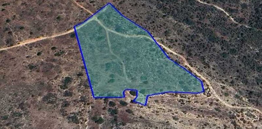 18730m² Land in Pissouri, Cyprus No. 42067