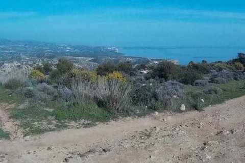 18730m² Land in Pissouri, Cyprus No. 42067 2