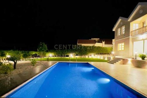 5 bedrooms Villa in Palodeia, Cyprus No. 28860 13