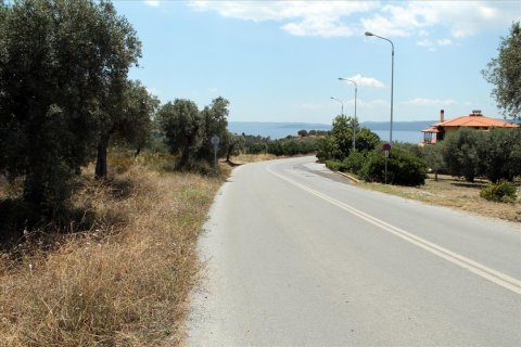 5568m² Land en Chalkidiki, Greece No. 60255 2