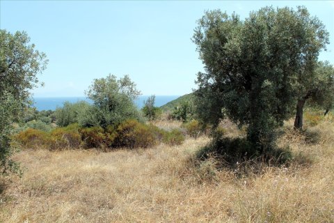 5568m² Land en Chalkidiki, Greece No. 60255 5