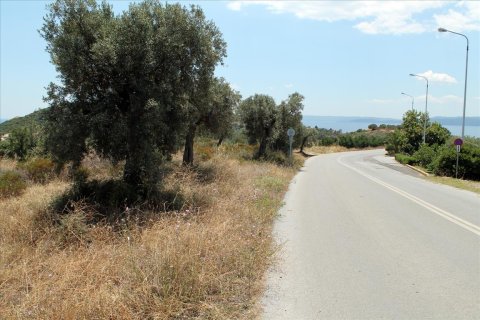 5568m² Land en Chalkidiki, Greece No. 60255 3