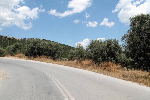 5568m² Land en Chalkidiki, Greece No. 60255 1