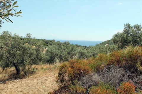 5568m² Land en Chalkidiki, Greece No. 60255 4