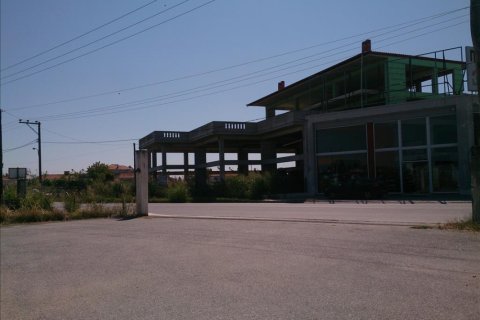 1260m² Commercial property en Pieria, Greece No. 49122 3