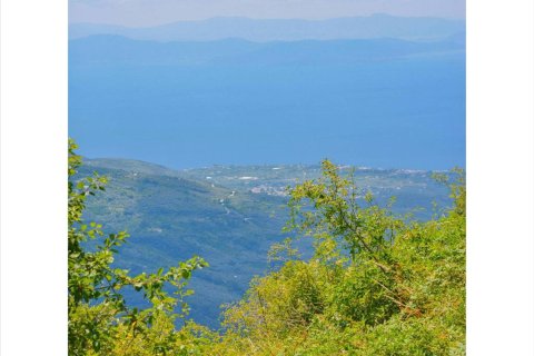 43000m² Land in Zagora, Greece No. 56428 5