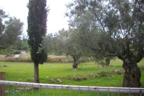 Land in Zakynthos, Greece No. 24662 4