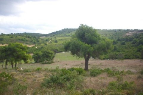 Land in Zakynthos, Greece No. 24662 10