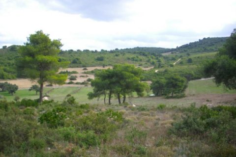 Land in Zakynthos, Greece No. 24662 9