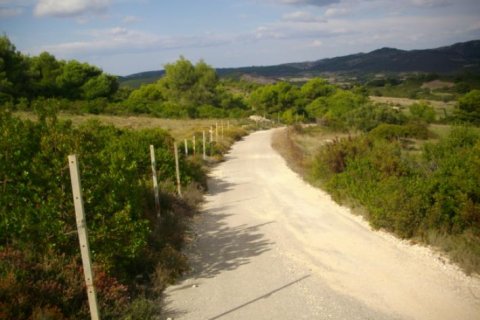 Land in Zakynthos, Greece No. 24662 2