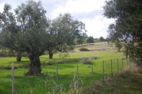 Land in Zakynthos, Greece No. 24662 1