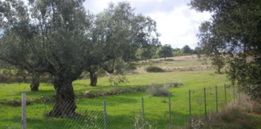 Land in Zakynthos, Greece No. 24662