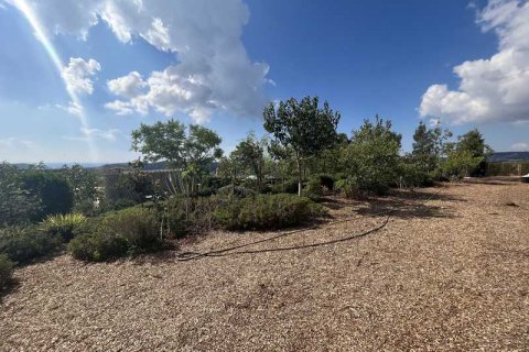 3353m² Land in Pyrgos, Cyprus No. 64417 4