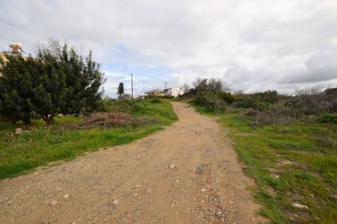 6294m² Land en Konia, Cyprus No. 65111 3