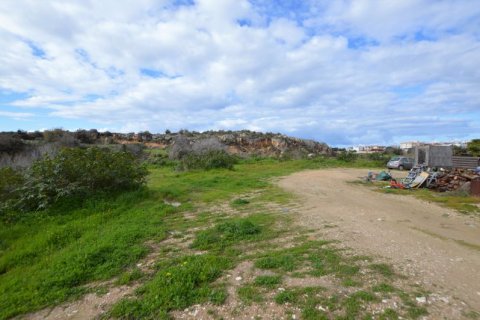 6294m² Land en Konia, Cyprus No. 65111 5