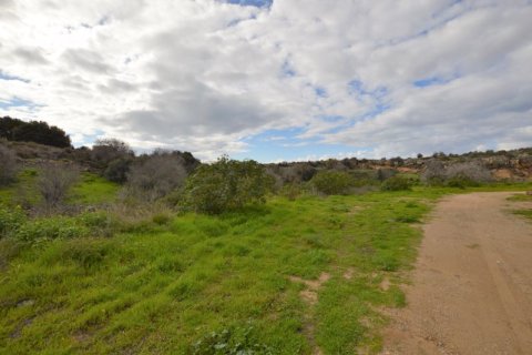 6294m² Land en Konia, Cyprus No. 65111 6