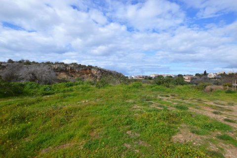 6294m² Land en Konia, Cyprus No. 65111 2