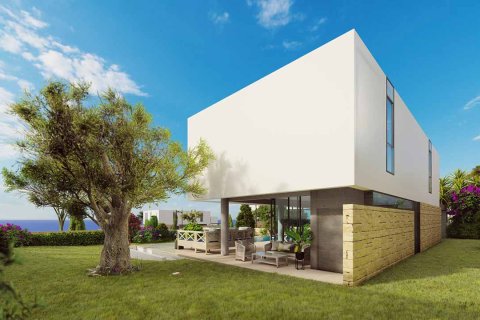 3 bedrooms Villa in Pegeia, Cyprus No. 28345 2