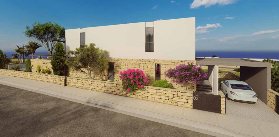 3 bedrooms Villa in Pegeia, Cyprus No. 28350