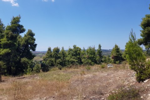 11000m² Land à Chalkidiki, Greece No. 57065 5