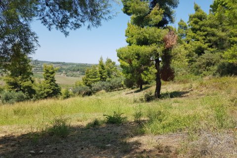 11000m² Land à Chalkidiki, Greece No. 57065 10