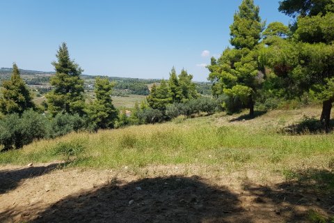 11000m² Land in Chalkidiki, Greece No. 57065 12