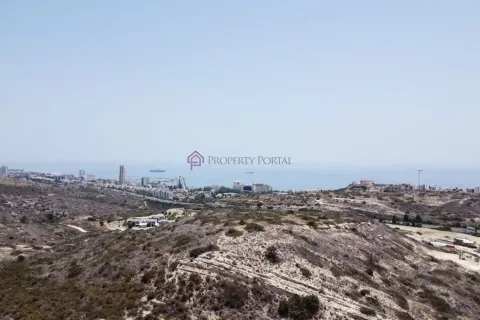 29500m² Land à Agios Tychonas, Cyprus No. 41843 2