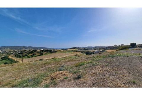 10554m² Land à Monagroulli, Cyprus No. 41844 4