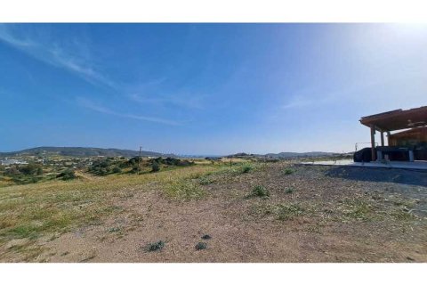 10554m² Land à Monagroulli, Cyprus No. 41844 3