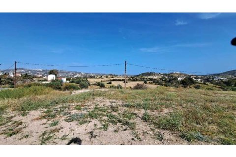 10554m² Land à Monagroulli, Cyprus No. 41844 1