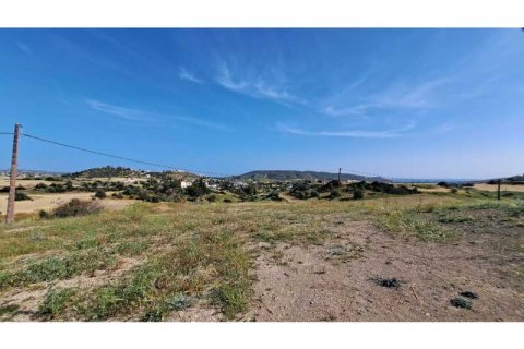 10554m² Land à Monagroulli, Cyprus No. 41844 2